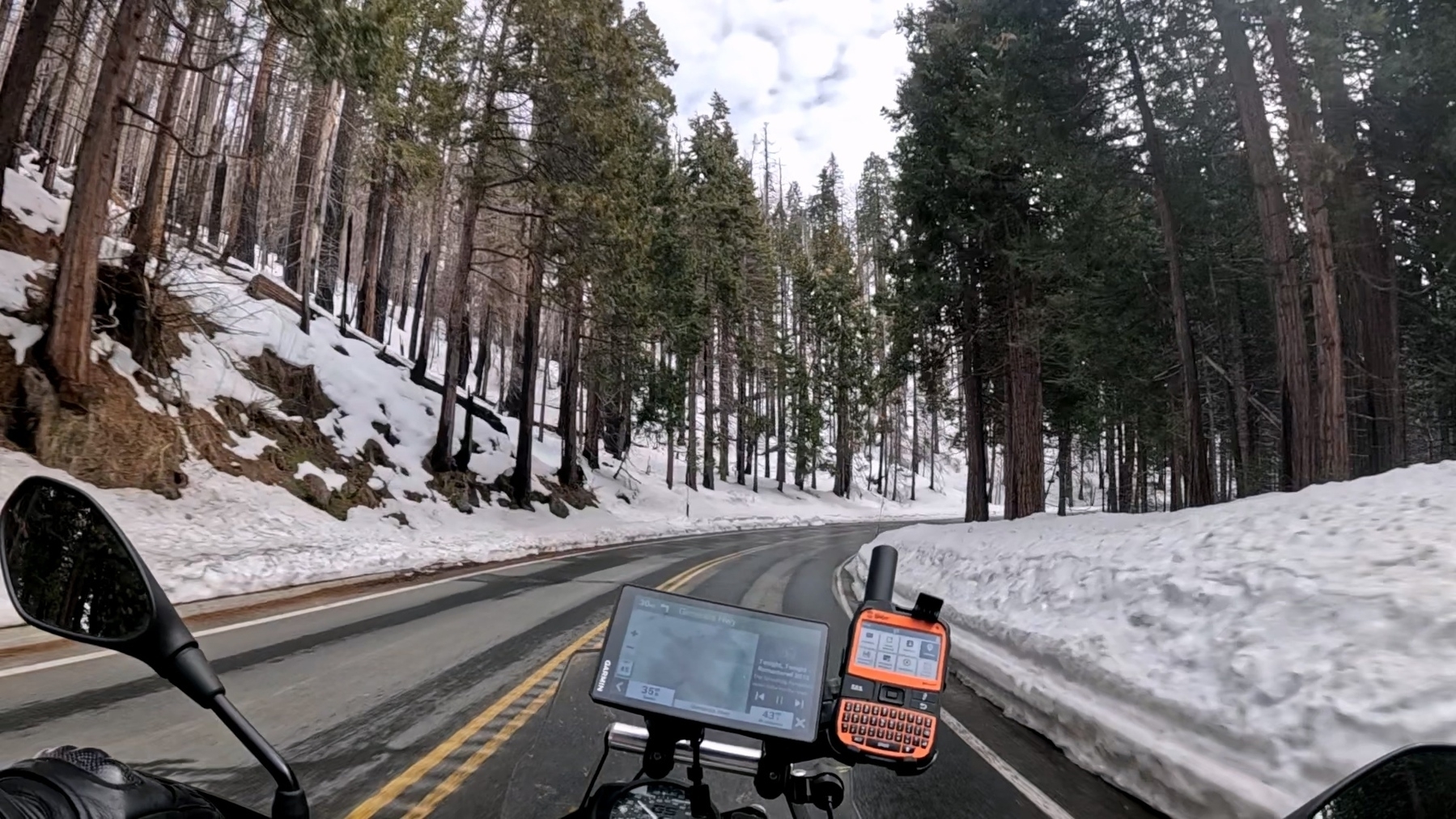 A snow-lined, winding road through a forest with tall trees under a cloudy sky.