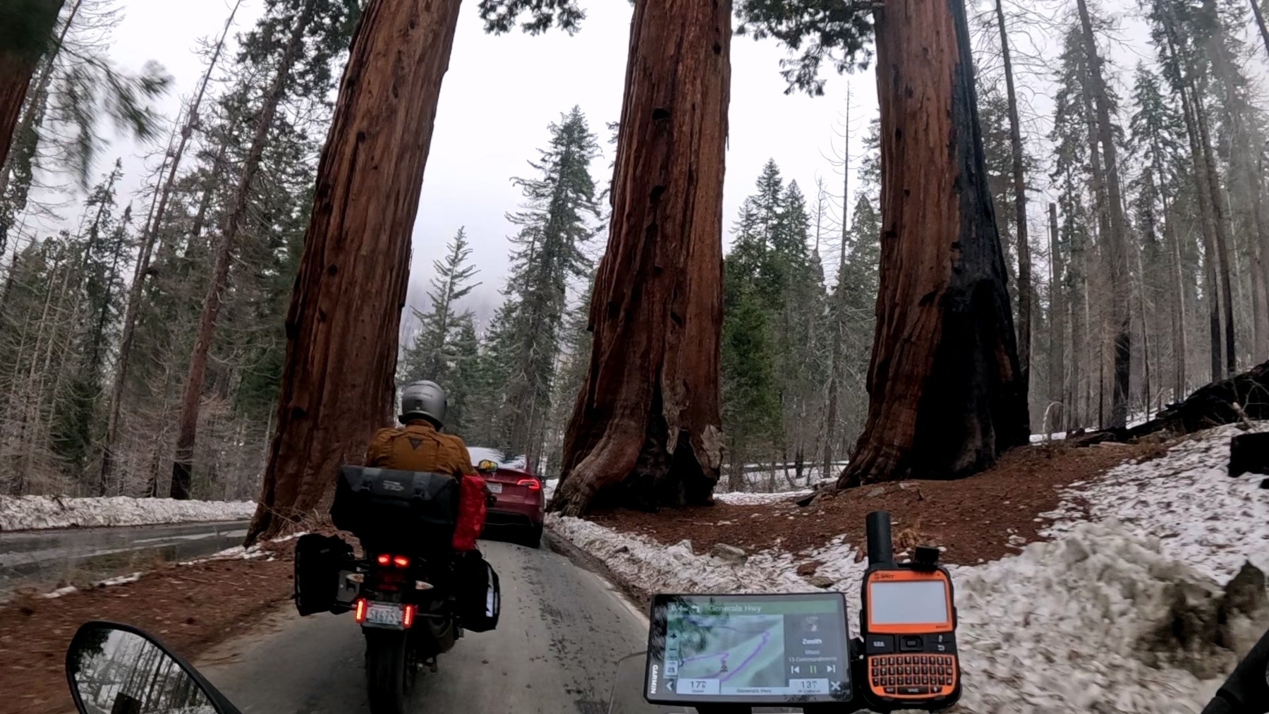 A motorcyclist rides through a narrow road surrounded by enormous sequoia trees in a snowy forest.