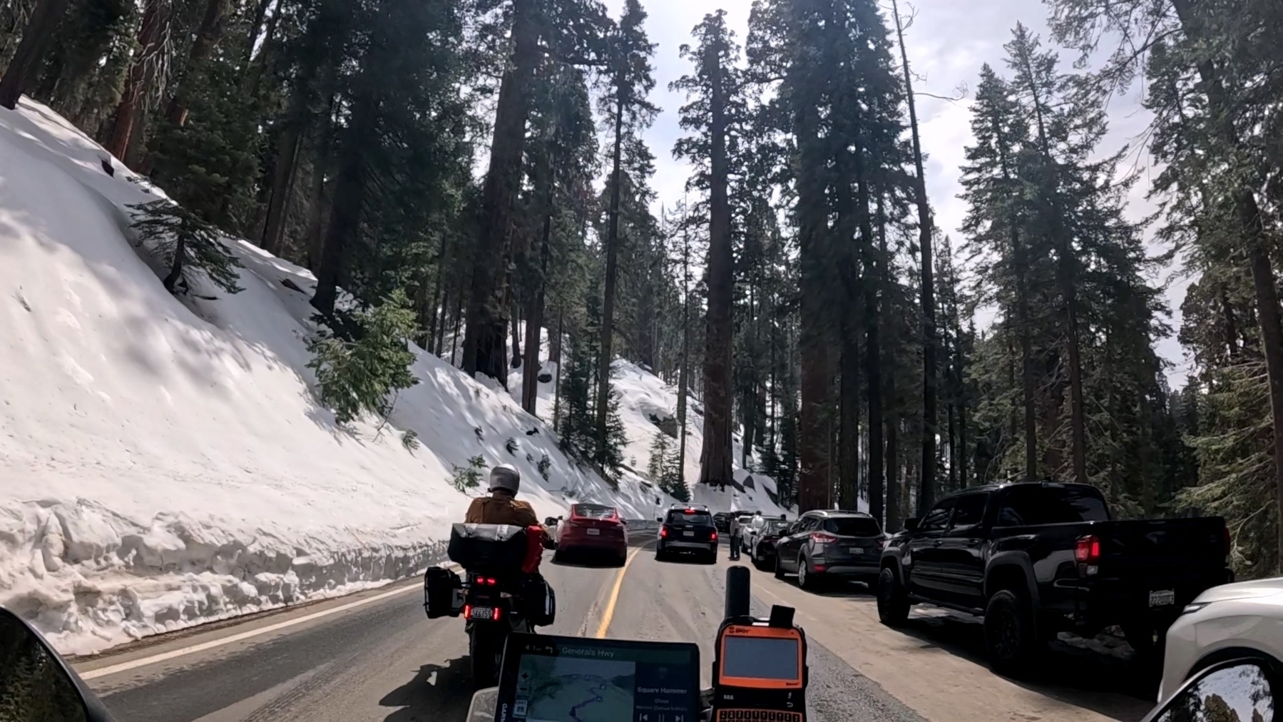 A motorcyclist and several cars travel along a snow-lined road surrounded by tall trees.